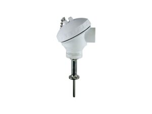 E+H iTHERM TM402 Hygienic Thermometer