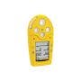 BW GasAlertMicro 5 (Diffusion) Gas Detector