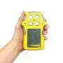 BW GasAlertQuattro - Buy Replacement Parts and Accessories